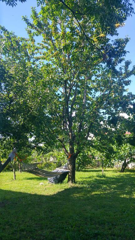 Green Garden Guesthouse Shkodër エクステリア 写真