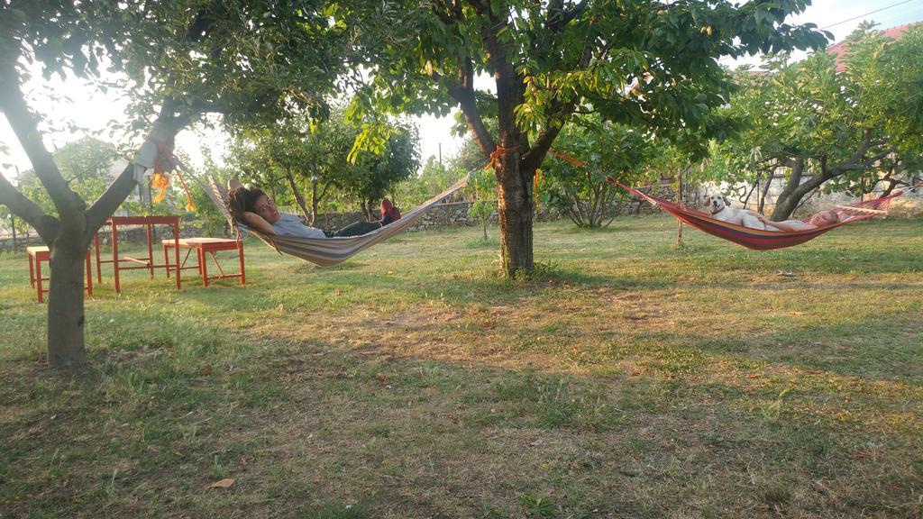 Green Garden Guesthouse Shkodër エクステリア 写真